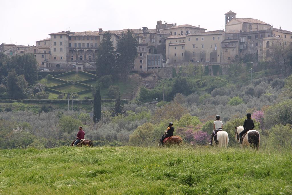 Chiusa della Vasca Castelnuovo di Farfa Esterno foto