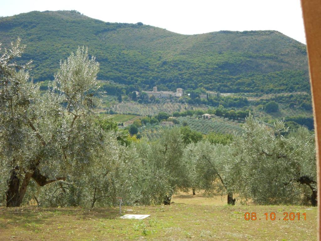 Chiusa della Vasca Castelnuovo di Farfa Esterno foto